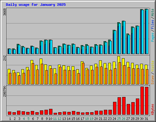 Daily usage for January 2025