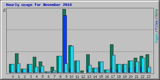 Hourly usage for November 2018