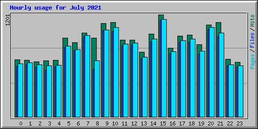Hourly usage for July 2021