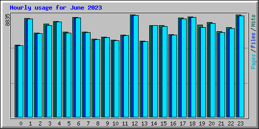 Hourly usage for June 2023