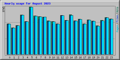 Hourly usage for August 2023