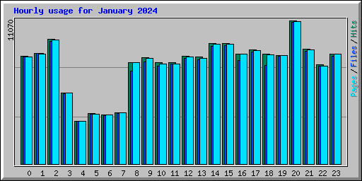 Hourly usage for January 2024