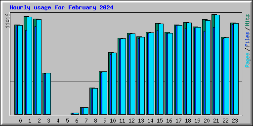 Hourly usage for February 2024