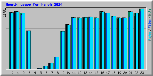 Hourly usage for March 2024