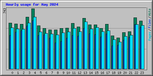 Hourly usage for May 2024