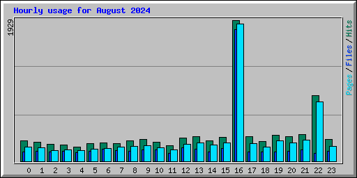 Hourly usage for August 2024