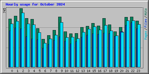 Hourly usage for October 2024