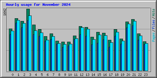 Hourly usage for November 2024