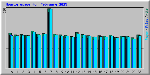 Hourly usage for February 2025