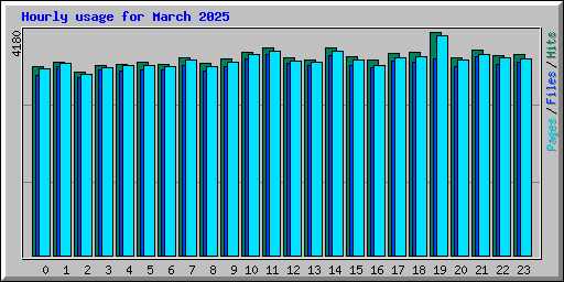 Hourly usage for March 2025