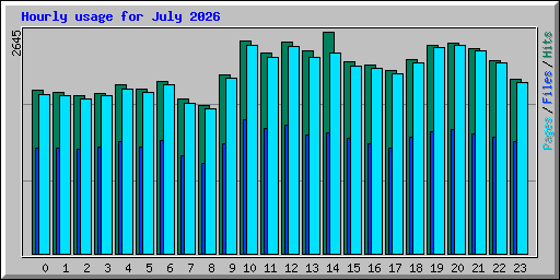 Hourly usage for July 2026
