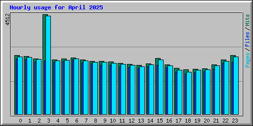 Hourly usage for April 2025