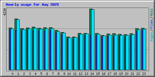 Hourly usage for May 2025