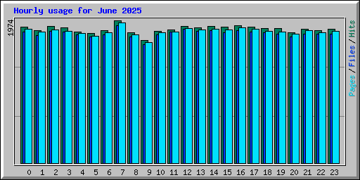 Hourly usage for June 2025