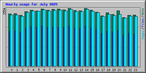 Hourly usage for July 2025