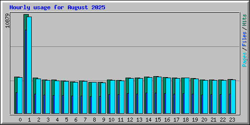 Hourly usage for August 2025
