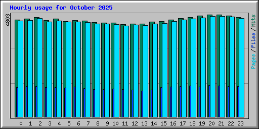 Hourly usage for October 2025