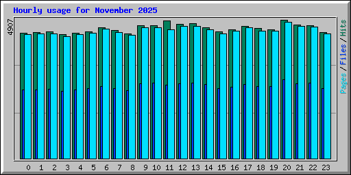 Hourly usage for November 2025