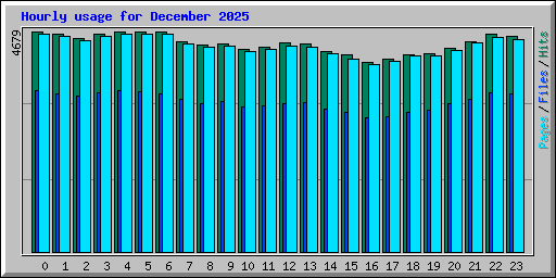 Hourly usage for December 2025