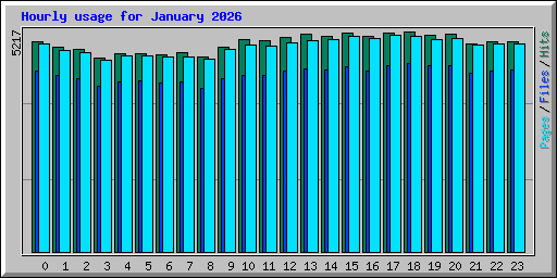 Hourly usage for January 2026